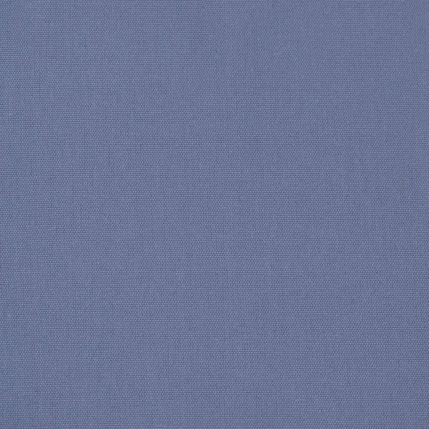 House Cotton Navy Swatch